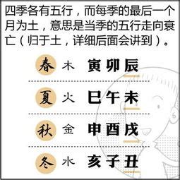 寅代表什么